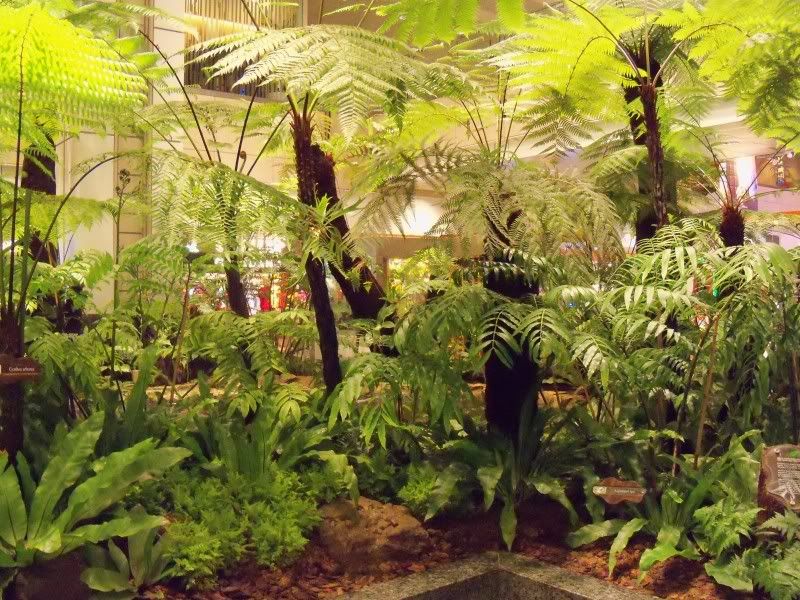 104_3475.jpg