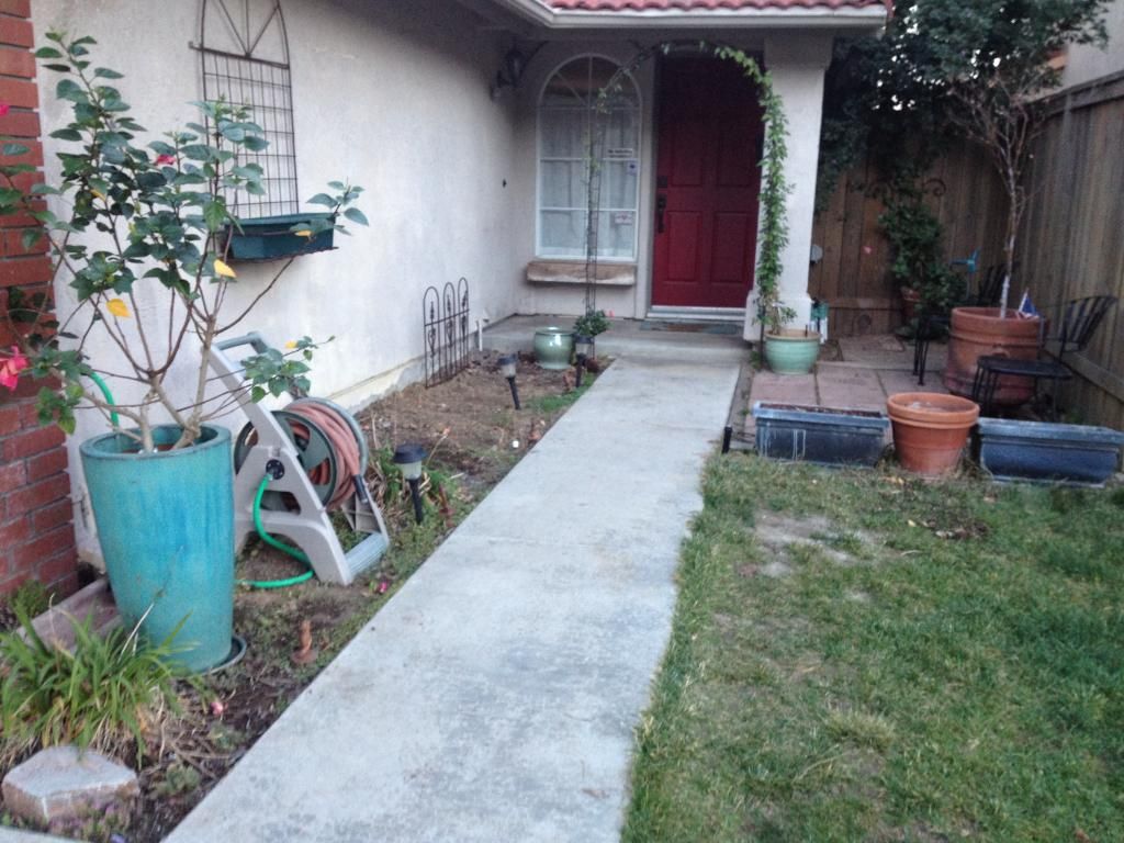 Need Ideas For A Very Small And Narrow Drought Tolerant Garden
