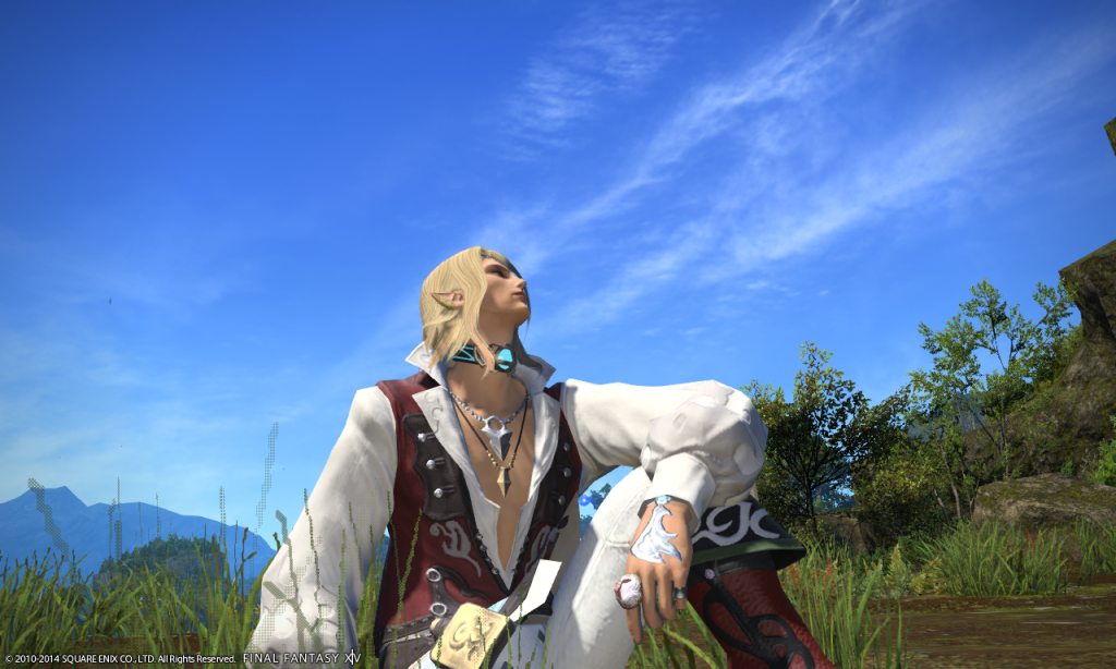 [Image: ffxiv_08282014_232312_zps739fadf5.png]