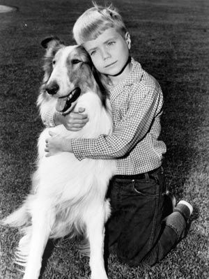 lassie-and-timmy.jpg