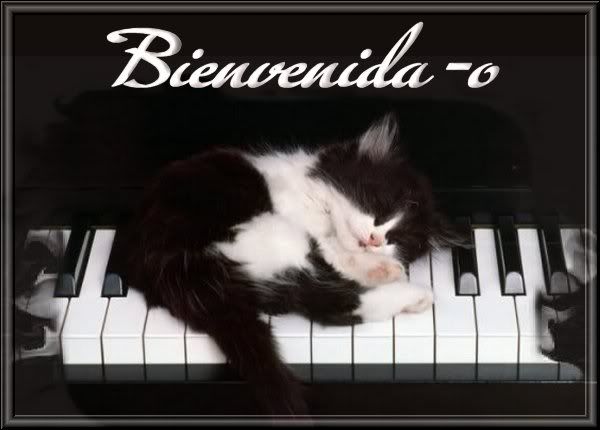 GATOENPIANO.jpg picture by VIUMOR18