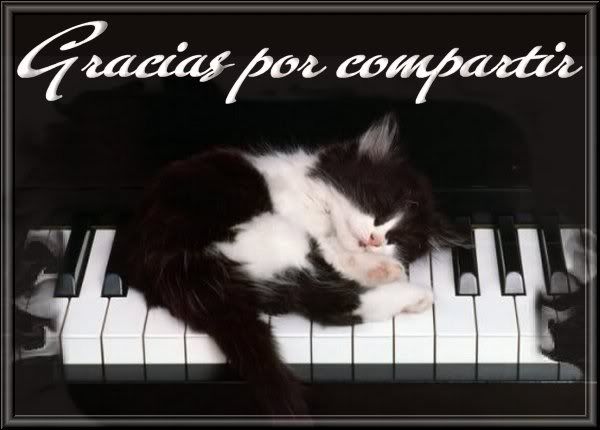 GATOENPIANO.jpg picture by VIUMOR18