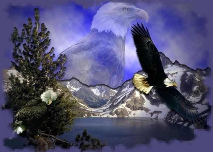 AGUILAS2.jpg picture by VIUMOR18