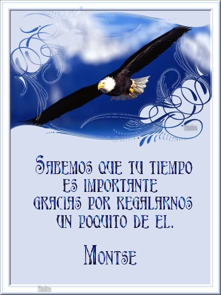 AGUILA8montse.jpg picture by VIUMOR18