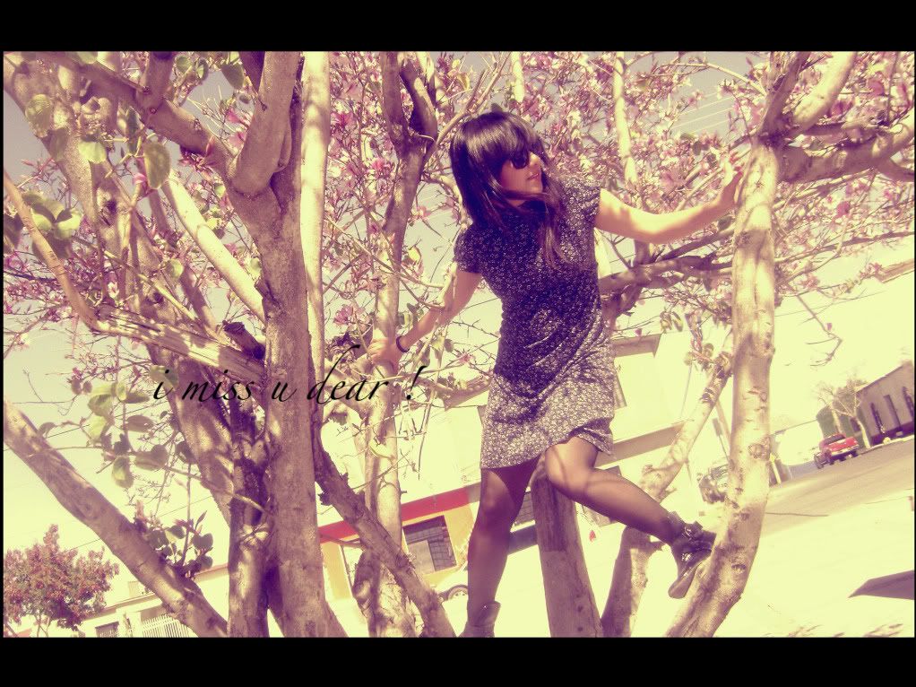 miss u Pictures, Images and Photos