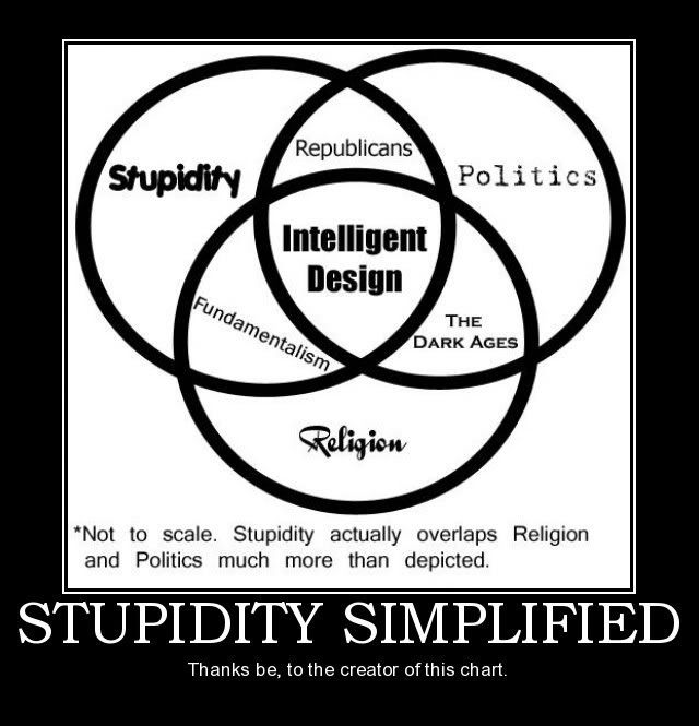 Stupidity #02 Pictures, Images and Photos