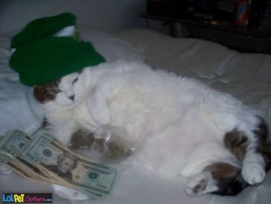 http://i940.photobucket.com/albums/ad248/thriftywalrus/gangster-cat.jpg