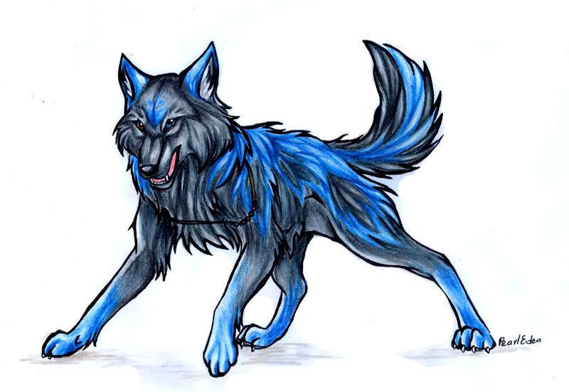 Dark Blue Wolf