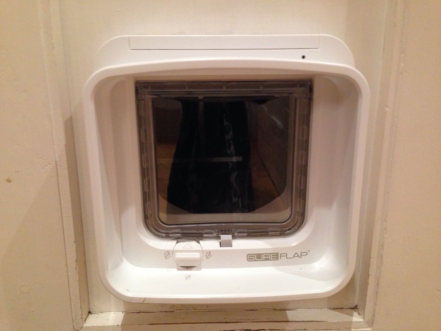 SureFlap DualScan Microchip Cat Flap My Review UK Pet Forums Forum