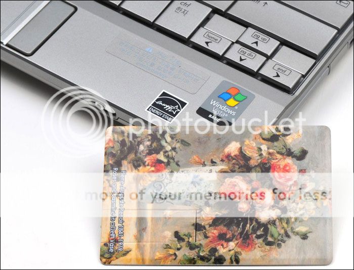 CREDIT CARD TYPE USB MEMORY CARD 4GB   ROSES AND JASMIN IN A DELFT 